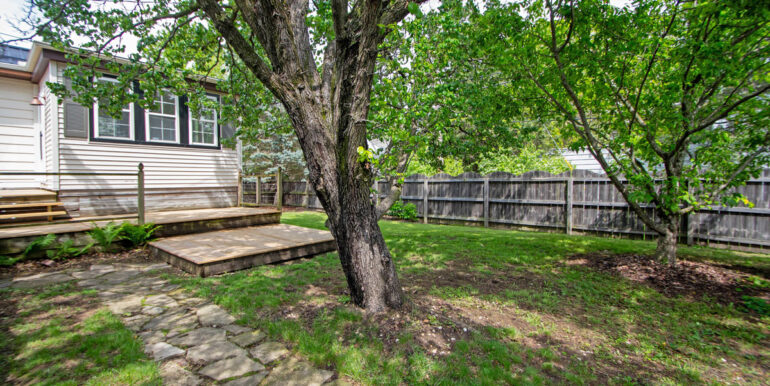 Backyard-7